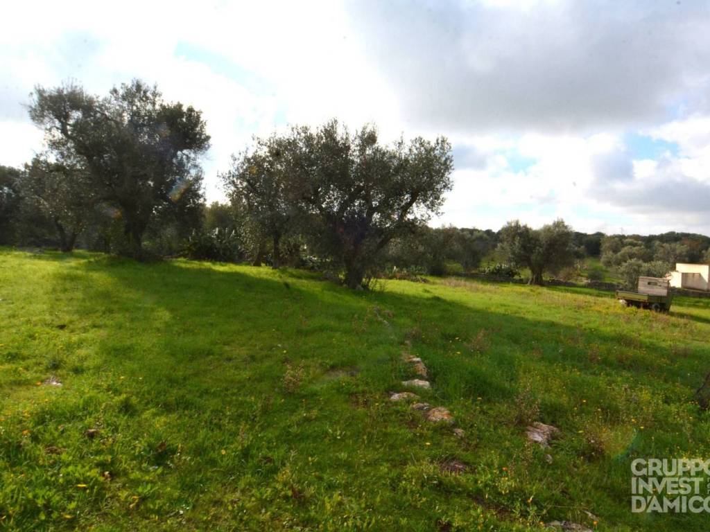 Rustico / casale a Ostuni in Contrada Vallegna - Foto 5