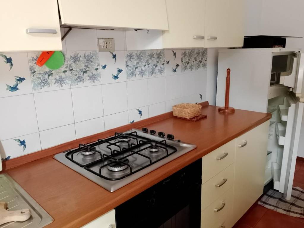 Appartamento a Rosignano marittimo - Foto 3