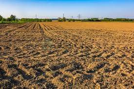 Terreno a Eraclea in via gioacchino rossini - Foto 3