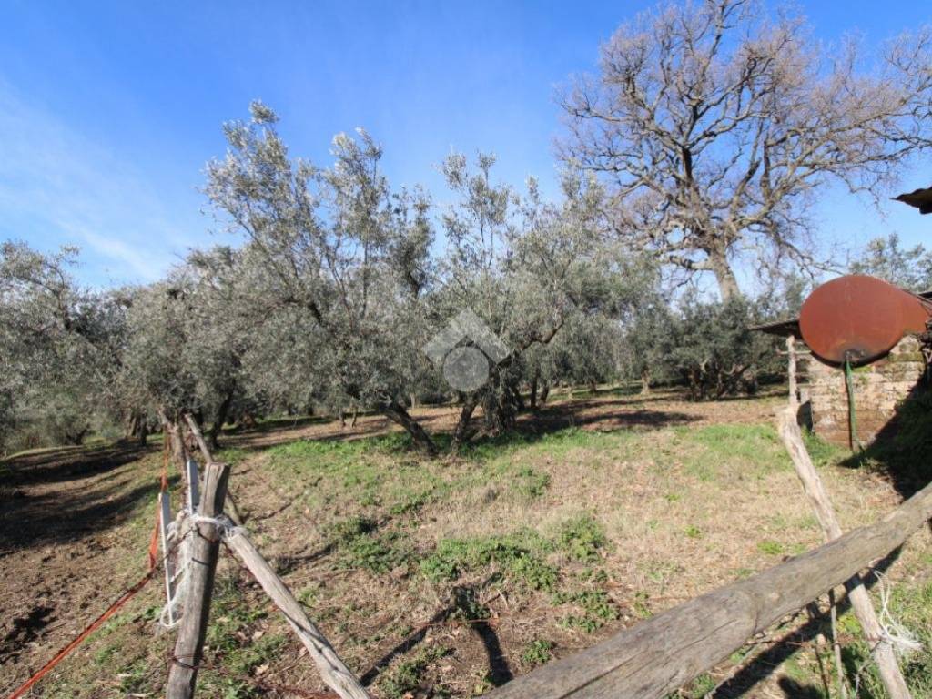 Casa indipendente a Montopoli di sabina in VIA FONTEVECCHIA - Foto 3