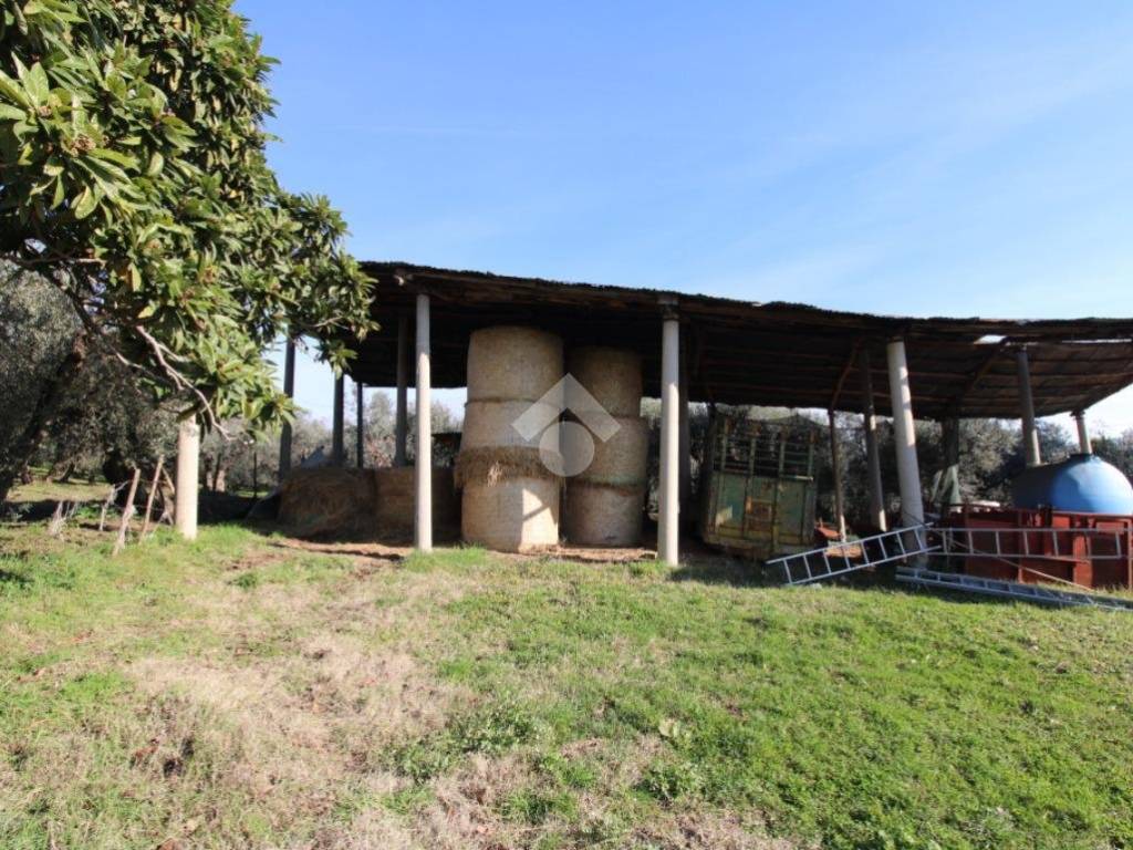 Casa indipendente a Montopoli di sabina in VIA FONTEVECCHIA - Foto 4