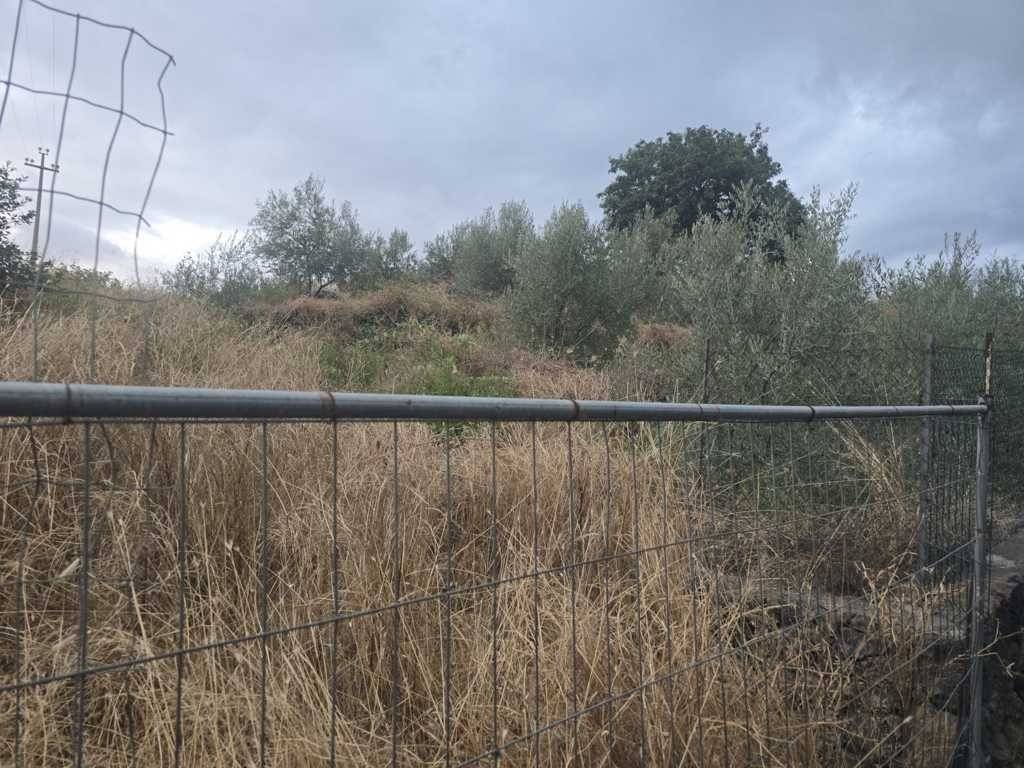 Terreno a Camporotondo etneo in Via Risorgimento - Foto 5