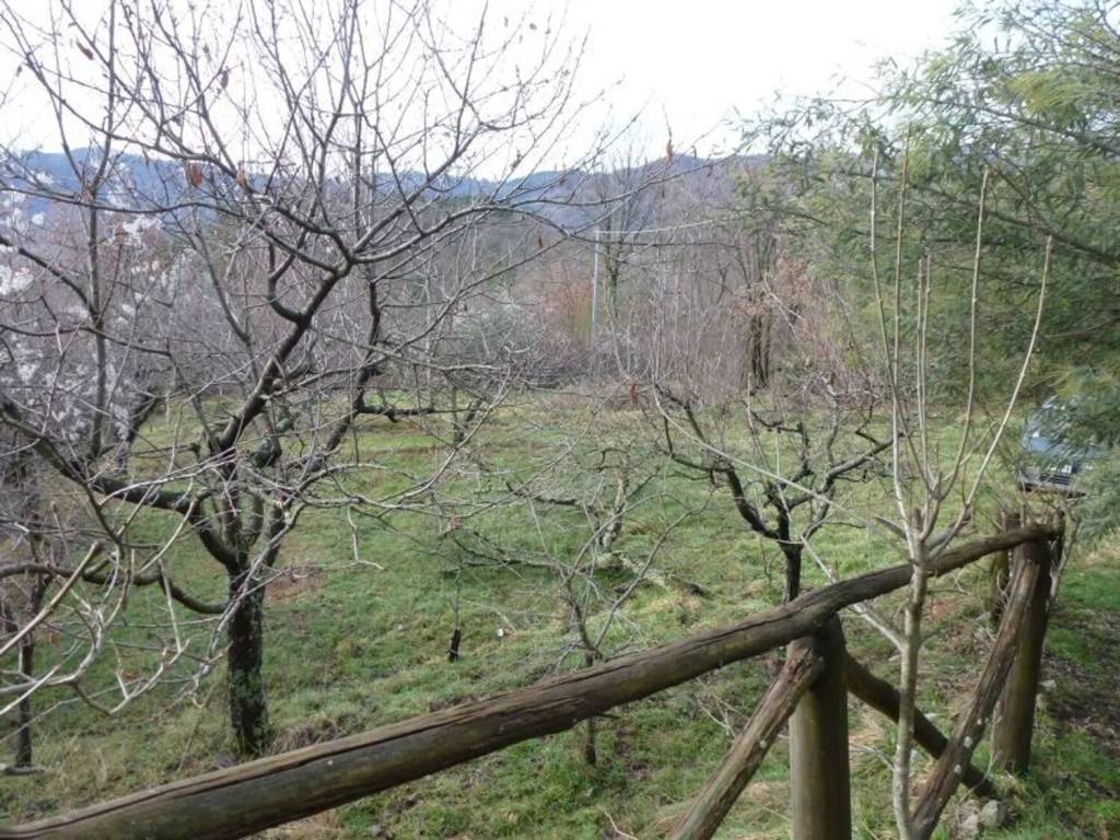 Rustico / casale a Borgo a mozzano in Valdottavo No Number - Foto 3