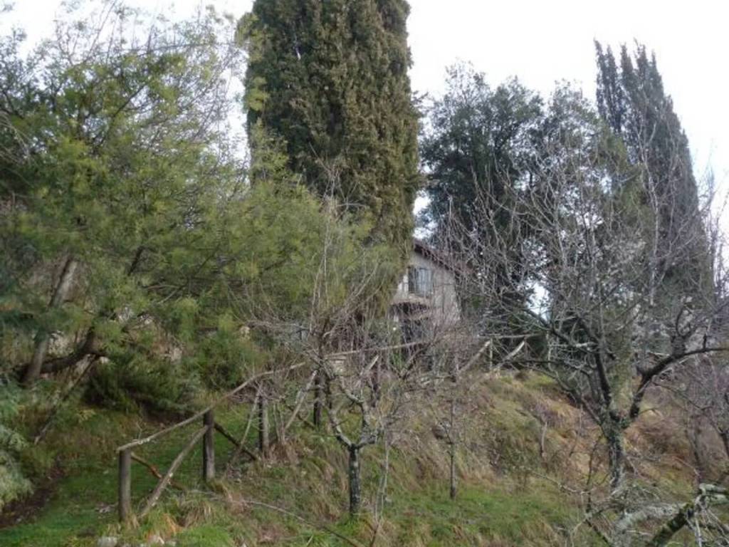 Rustico / casale a Borgo a mozzano in Valdottavo No Number - Foto 4