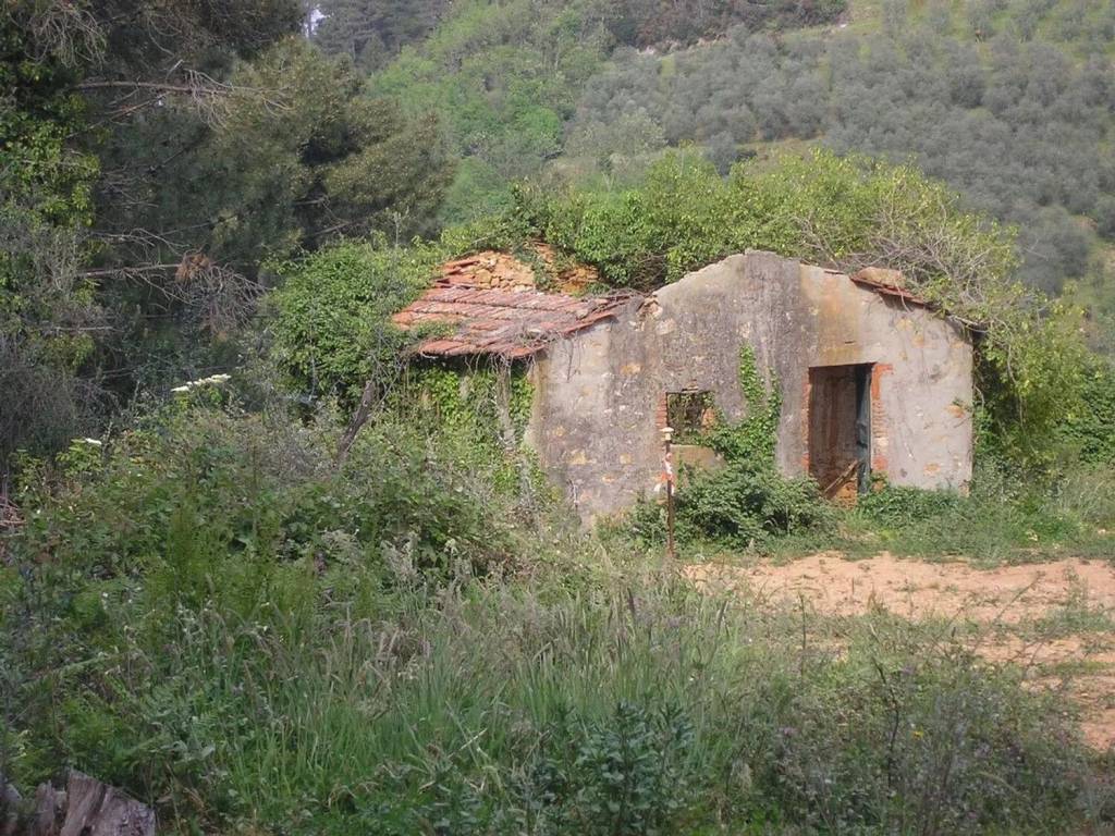 Rustico / casale a Capannori - Foto 2