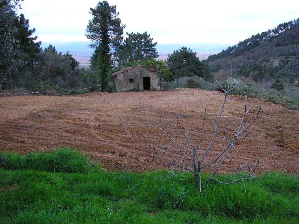 Rustico / casale a Capannori - Foto 5