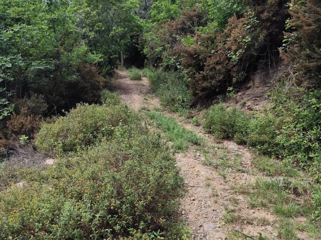 Terreno a Quiliano in Via Garzi - Foto 2