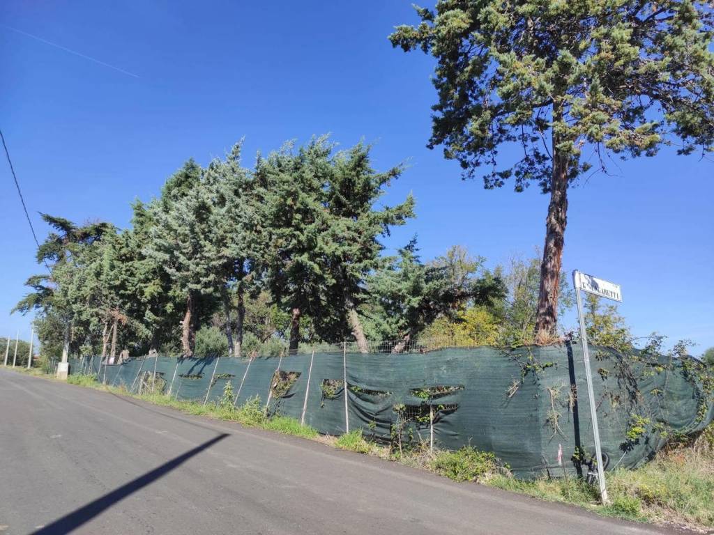 Terreno a Termoli - Foto 4