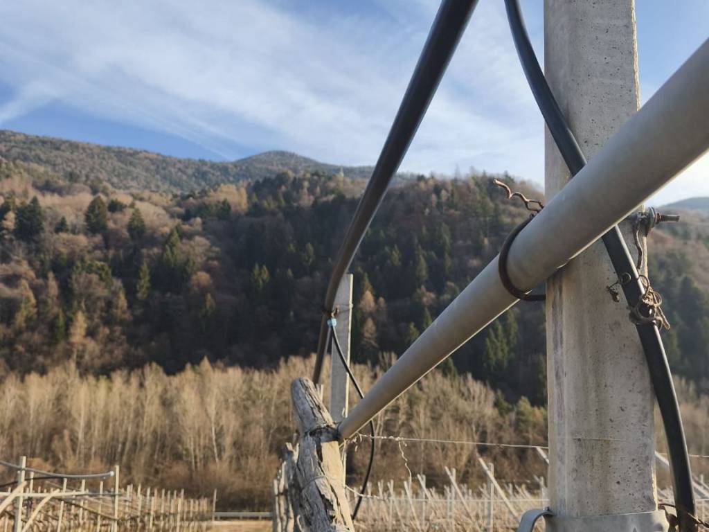Terreno a Altavalle in Località Rorè - Foto 2