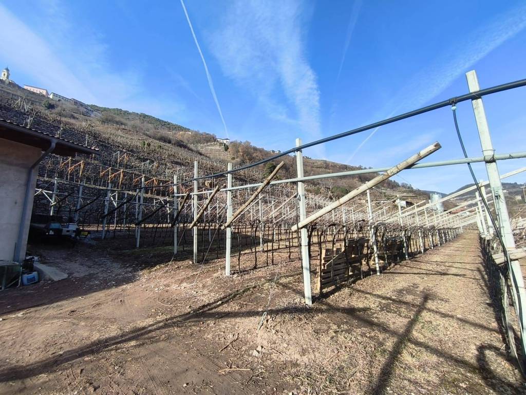 Terreno a Altavalle in Località Rorè - Foto 3