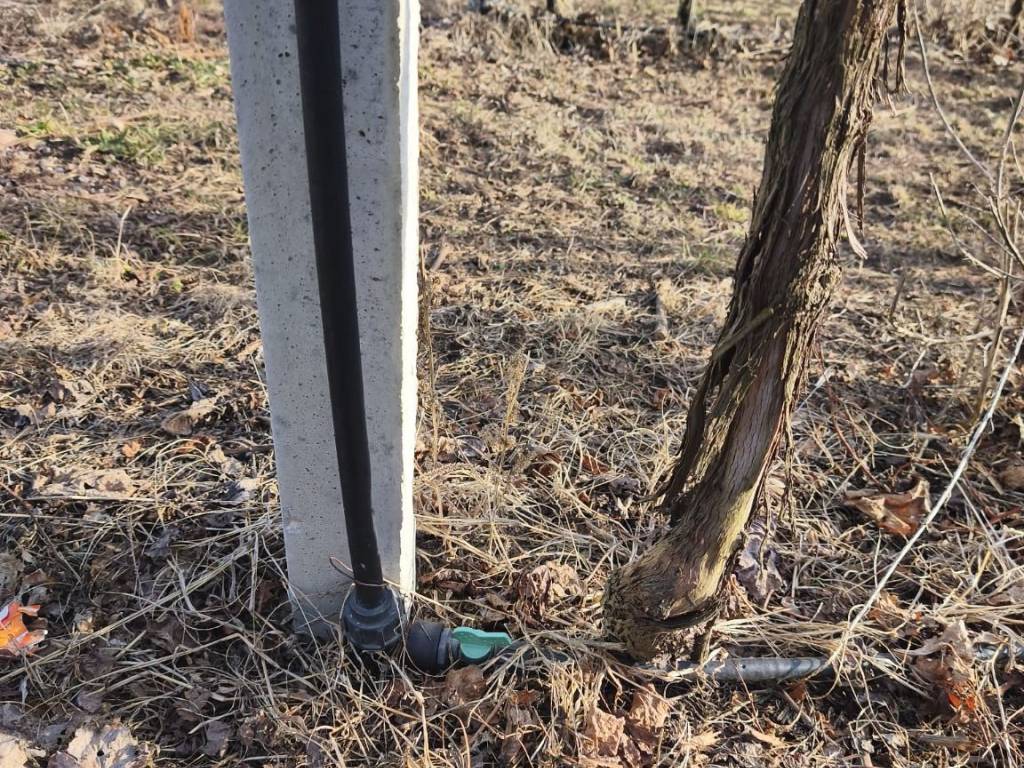 Terreno a Altavalle in Località Rorè - Foto 4