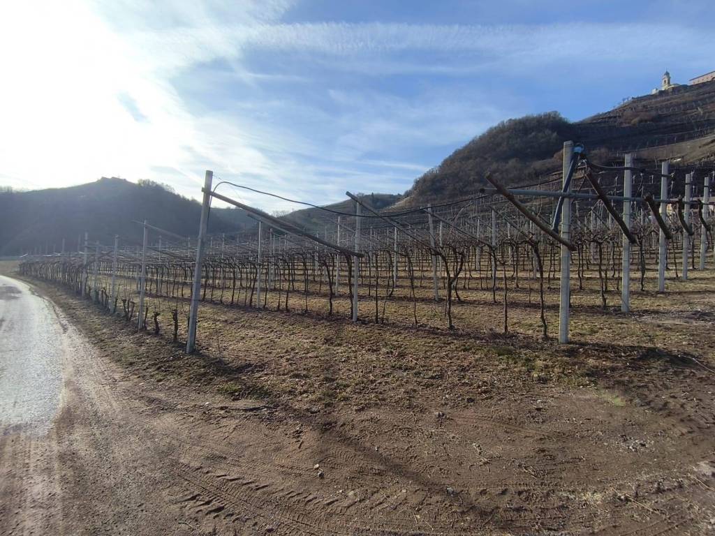Terreno a Altavalle in Località Rorè - Foto 5