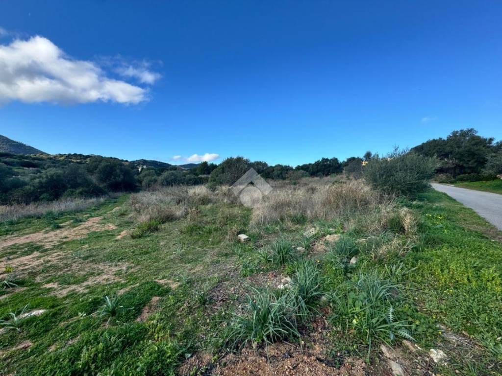 Terreno a Budoni in Via Eugenio Montale - Foto 2