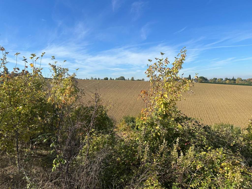 Immobile a Dozza - Foto 3