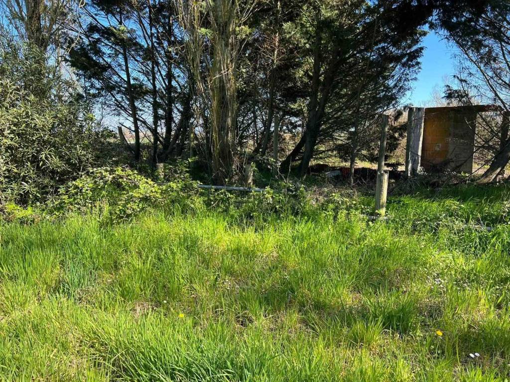 Rustico / casale a Chioggia - Foto 5