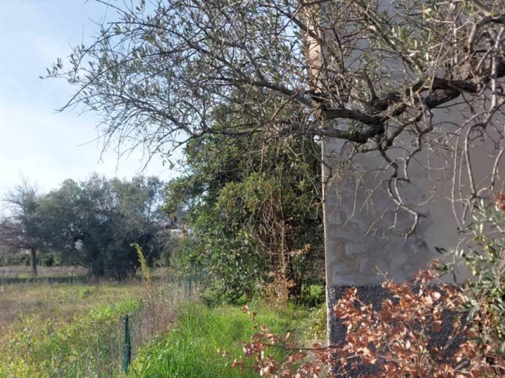 Casa indipendente a Fossacesia in Via Strada Provinciale per il Sangro, 31 - Foto 3