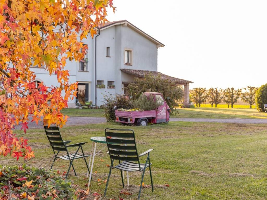 Rustico / casale a Castelfranco emilia - Foto 2