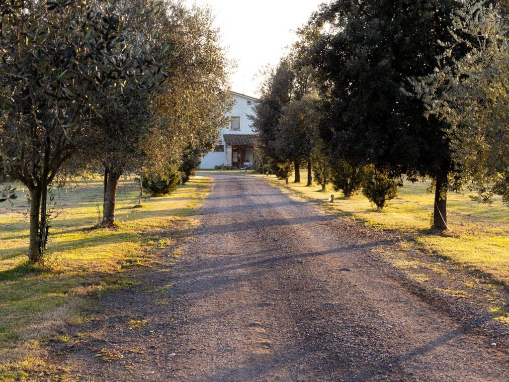 Rustico / casale a Castelfranco emilia - Foto 3