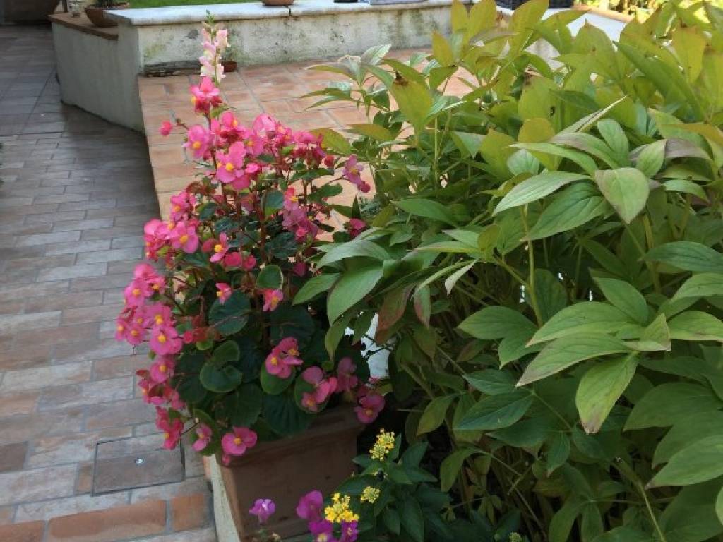 Villa a Castelnuovo magra in Via Canale - Foto 4