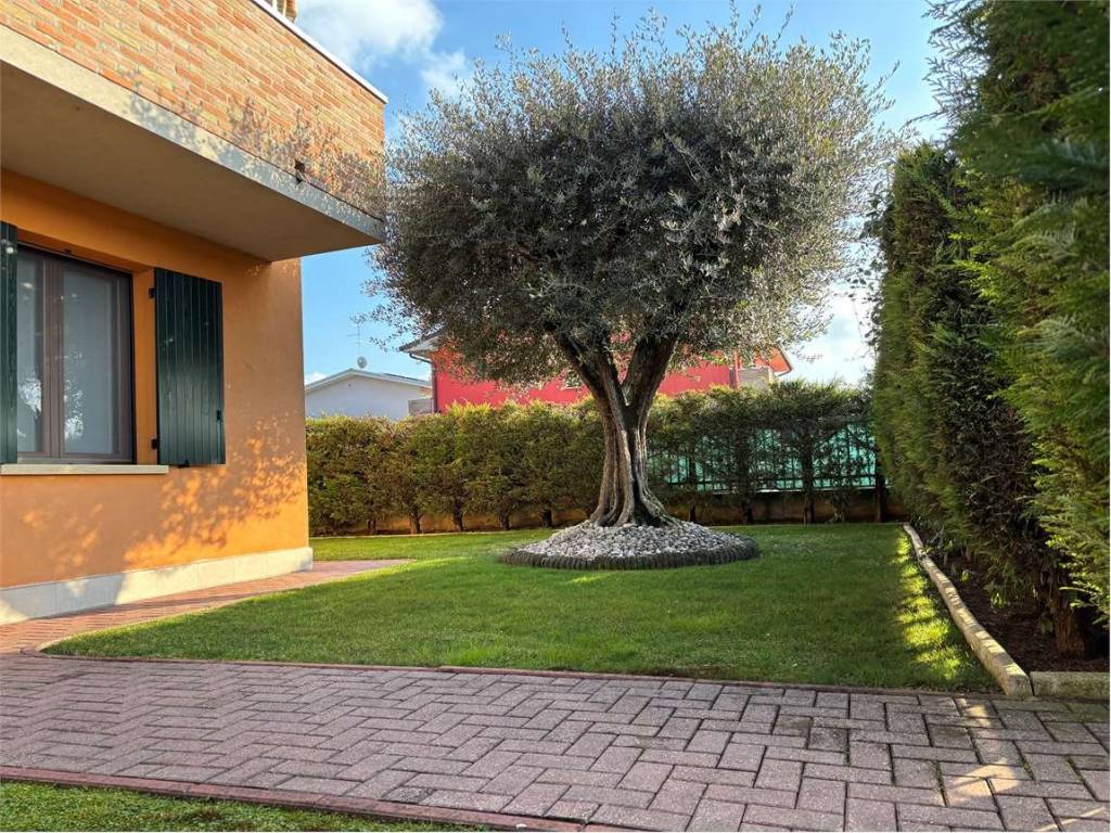 Villetta a schiera a Cerea in de steffani - Foto 2