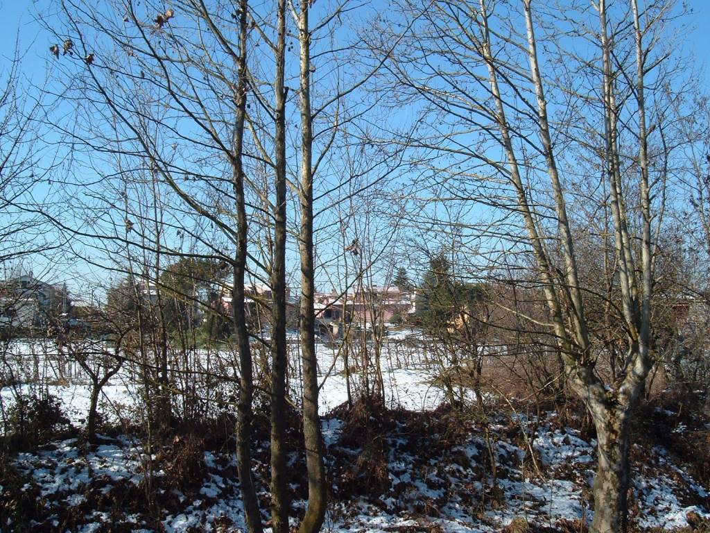 Terreno a Seriate in Via Francesco Nullo - Foto 3