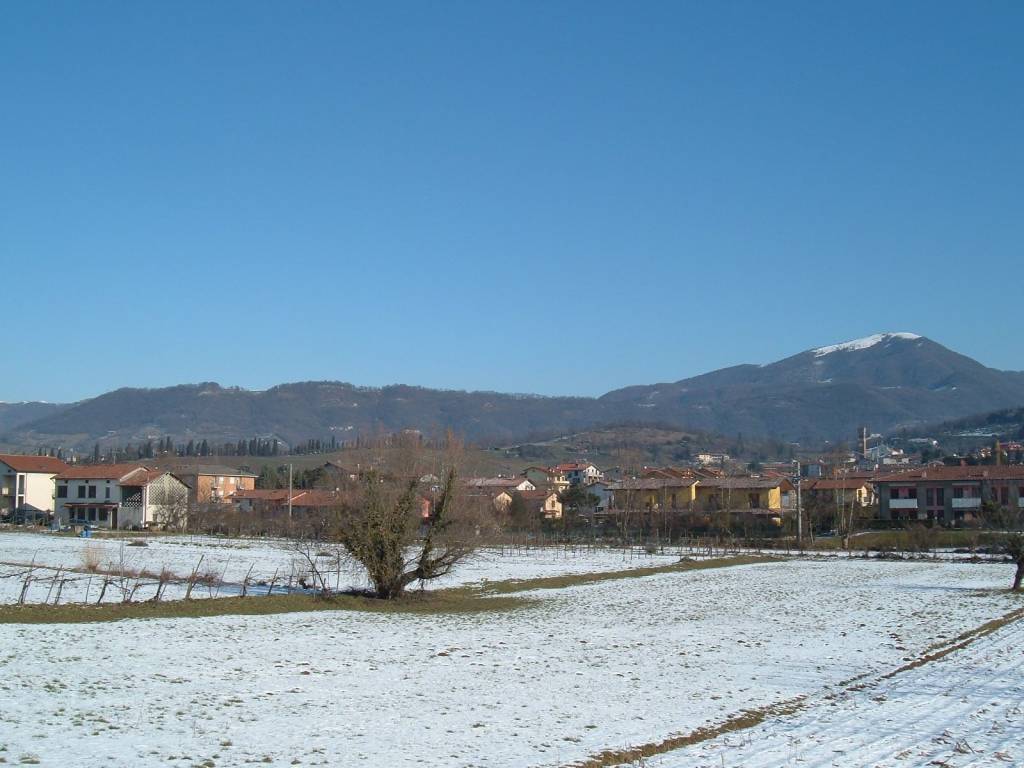 Terreno a Seriate in Via Francesco Nullo - Foto 5