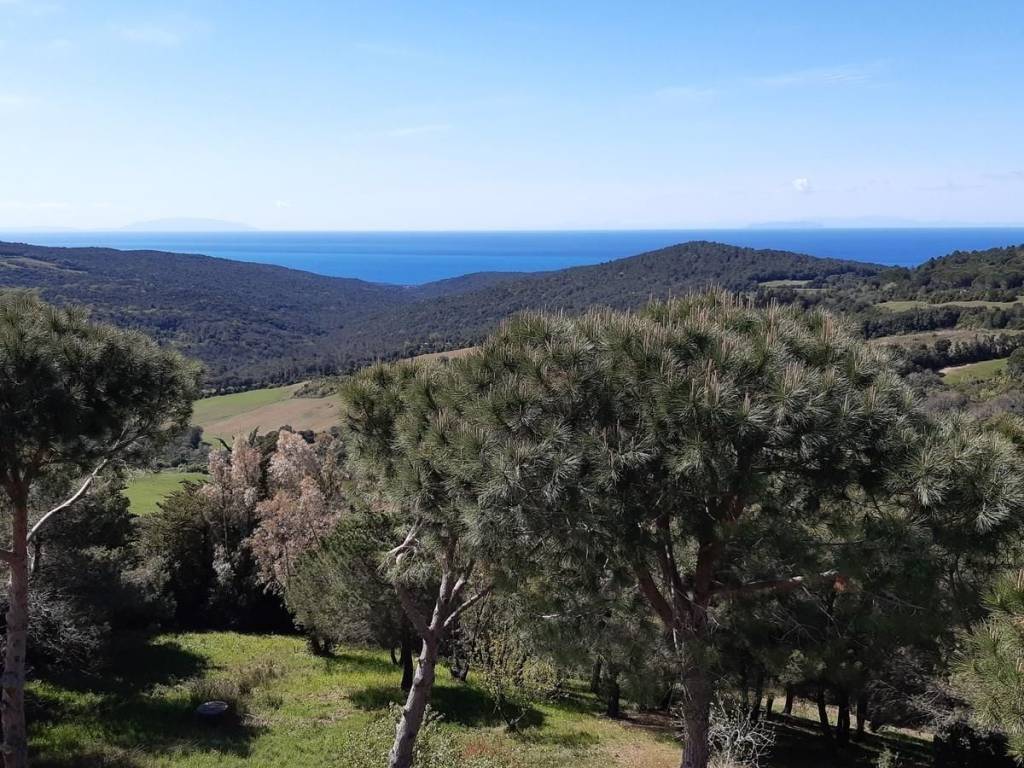 Appartamento a Rosignano marittimo - Foto 5