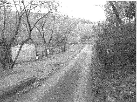 Villa a Avellino in CONTRADA CASELLE - Foto 3