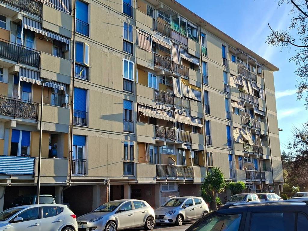 Appartamento a Grosseto in Via Mario Pratesi, 1 - Foto 5