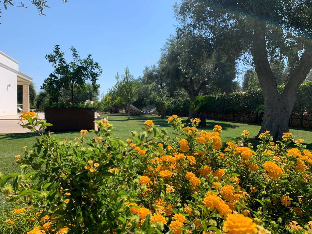 Villa a San vito dei normanni in SP36 - Foto 5