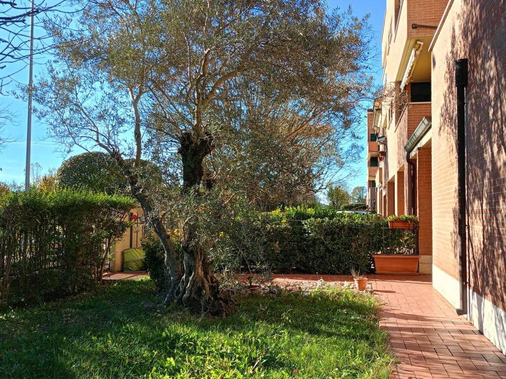 Appartamento a Mirandola - Foto 2