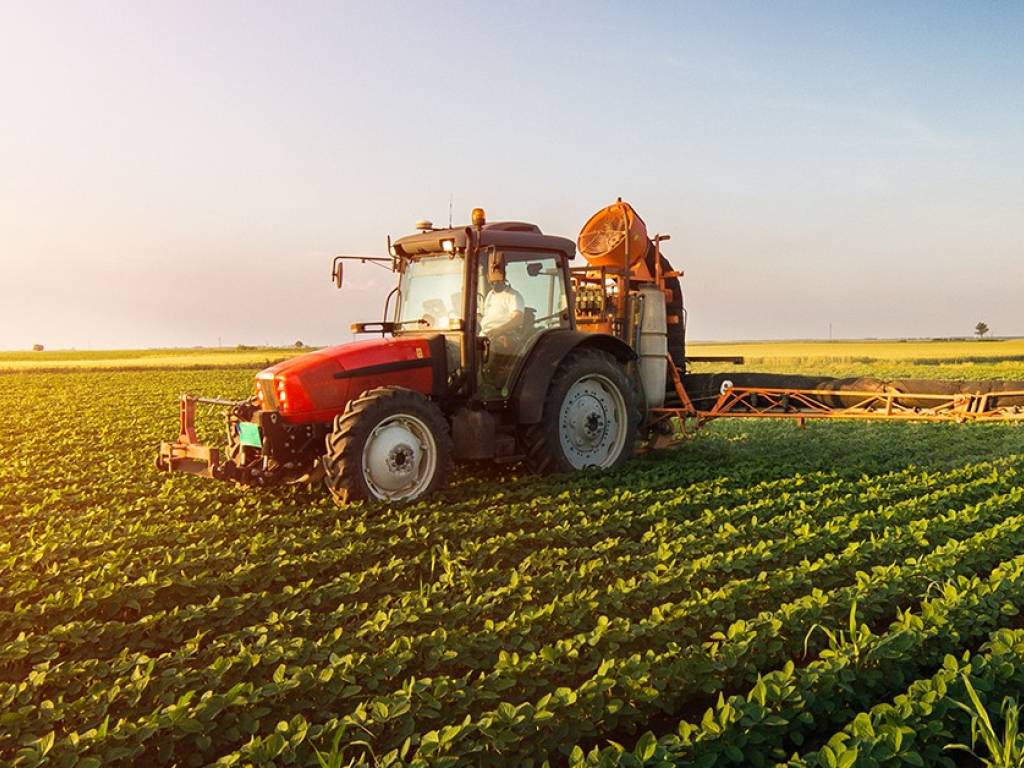 Terreno a Este in Via Sperone - Foto 3