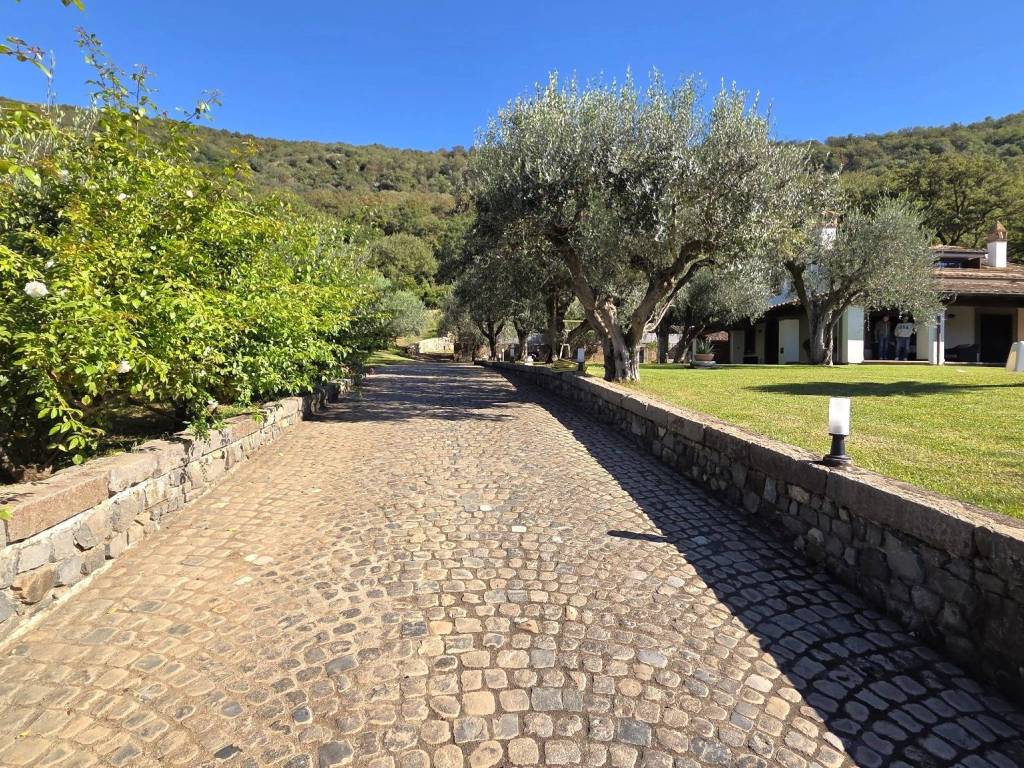 Villa a Trevignano romano - Foto 4