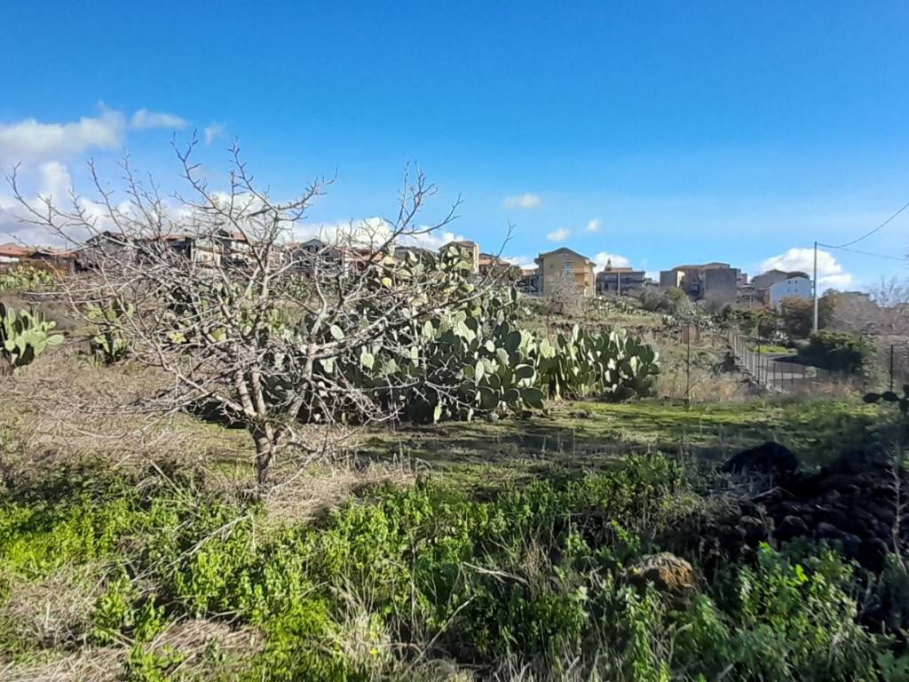 Terreno a Belpasso in Strada Comunale Raffo - Foto 4