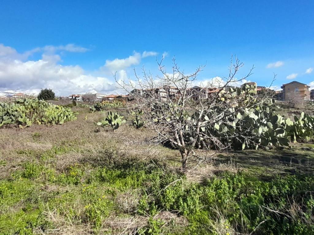 Terreno a Belpasso in Strada Comunale Raffo - Foto 5