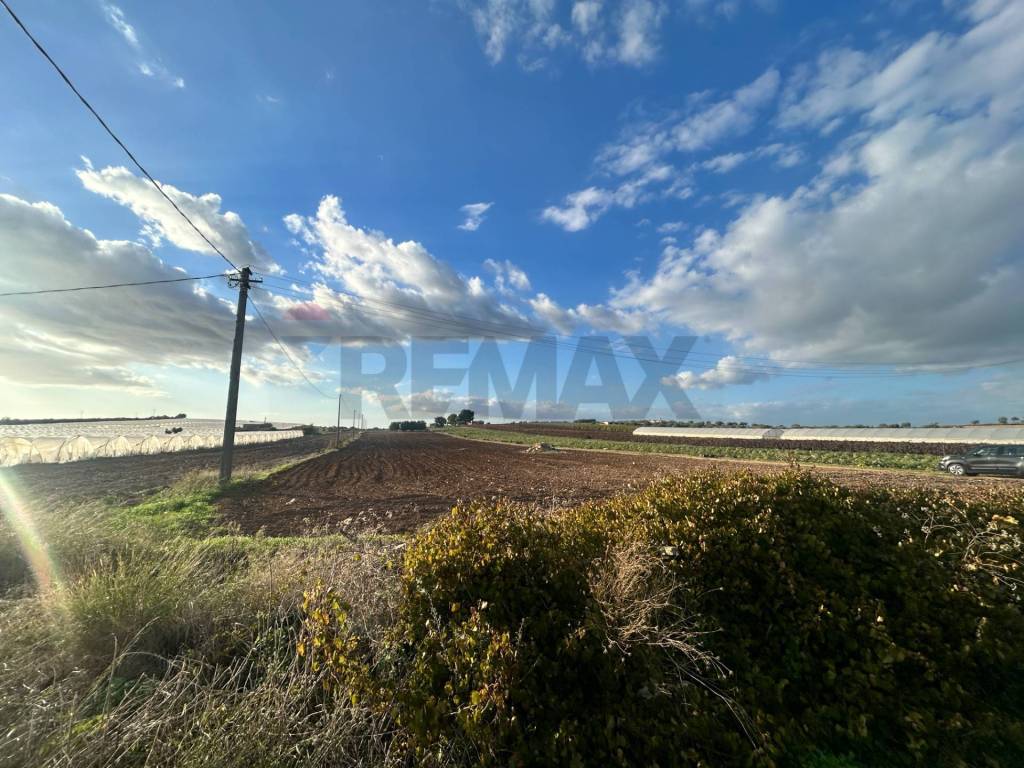 Terreno a Noto in Coste fredde - Foto 3
