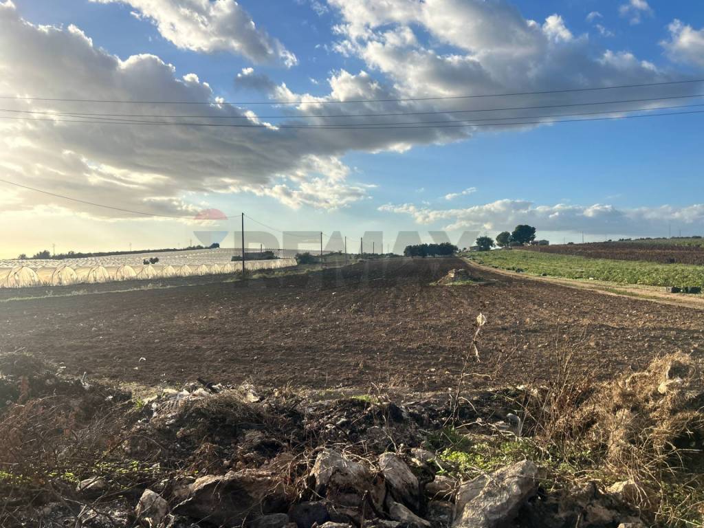 Terreno a Noto in Coste fredde - Foto 5