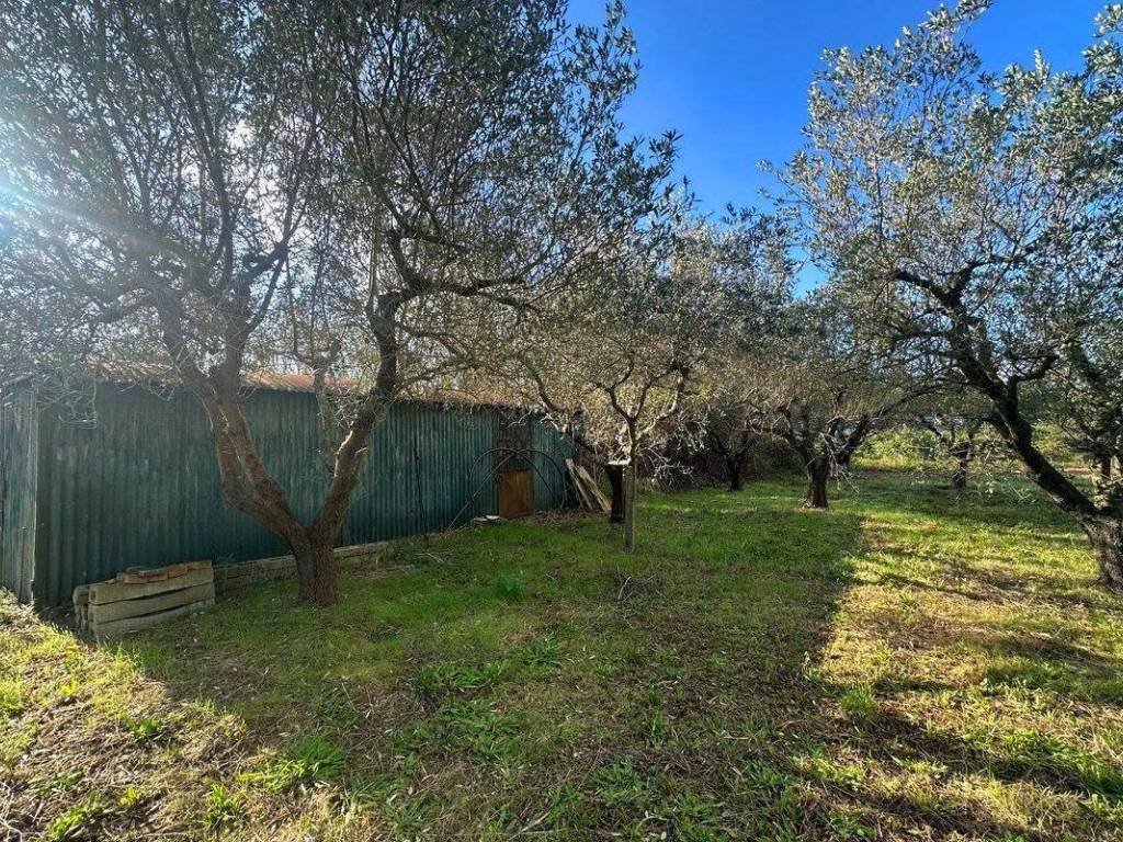Terreno a Rosignano marittimo in località Giardino - Foto 4
