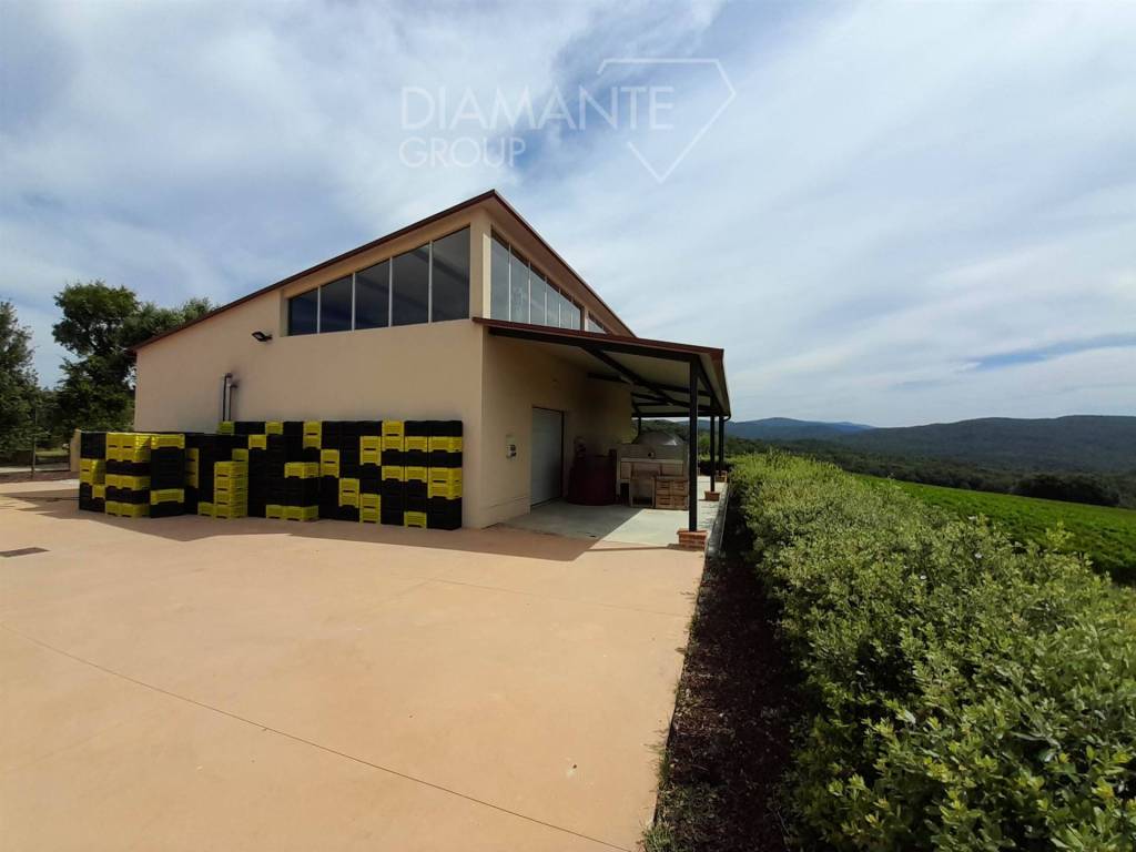 Rustico / casale a Massa marittima - Foto 3