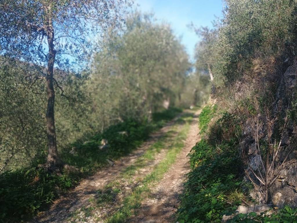 Terreno a Pontedassio in Strada Vasche - Foto 3