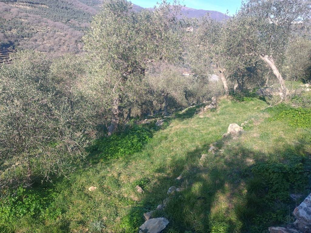 Terreno a Pontedassio in Strada Vasche - Foto 4