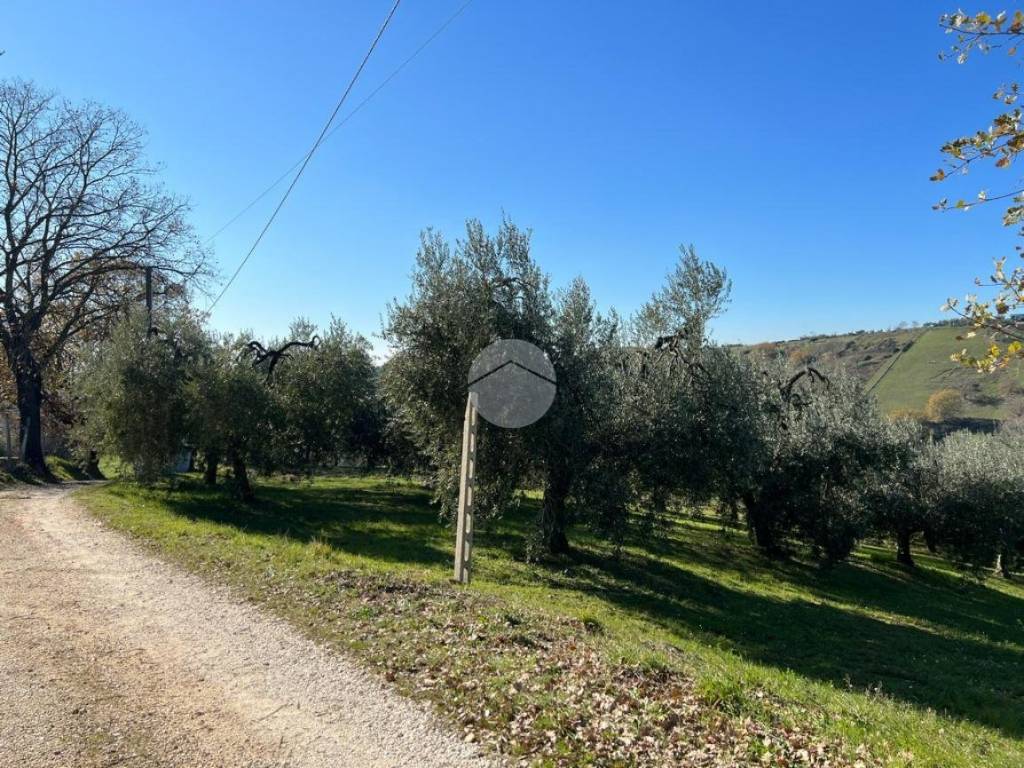 Terreno a Montebuono in San giacomo - Foto 2
