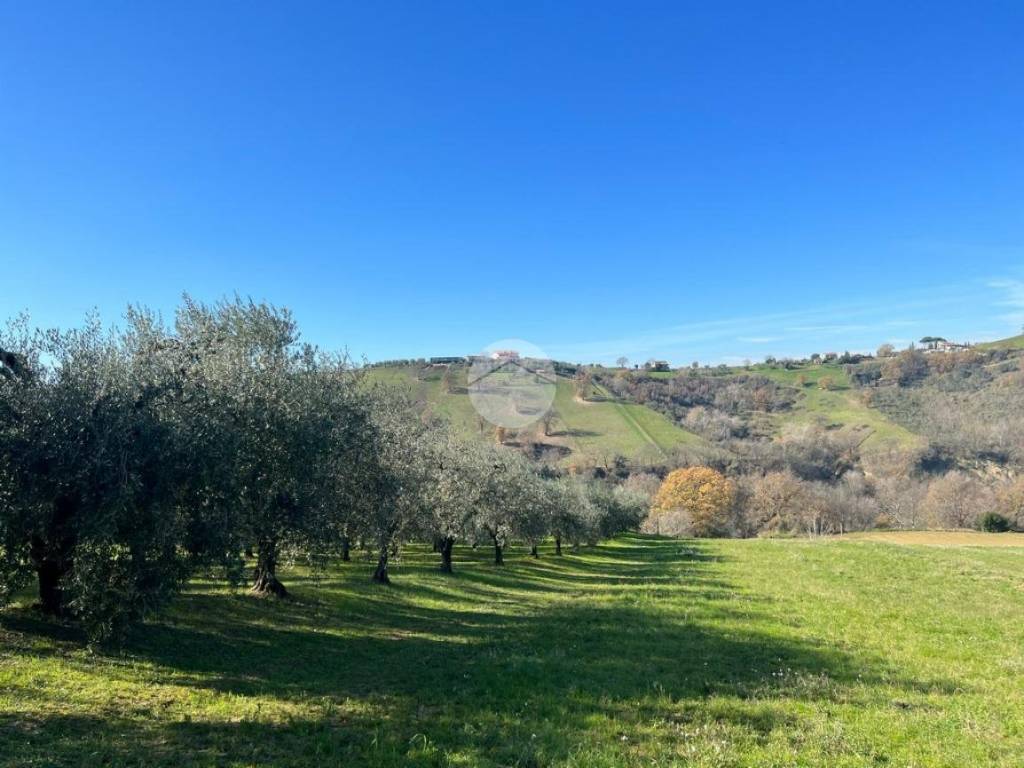 Terreno a Montebuono in San giacomo - Foto 3