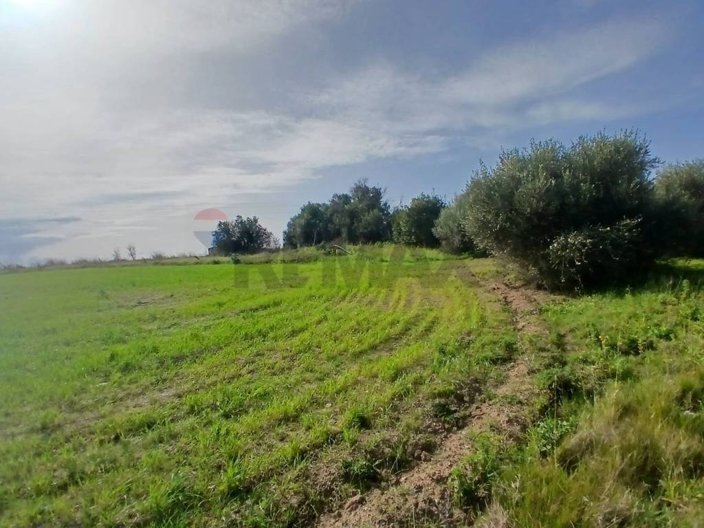 Terreno a Noto in contrada burgio - Foto 2