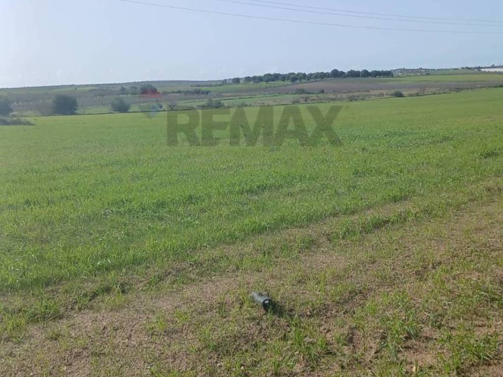 Terreno a Noto in contrada burgio - Foto 3