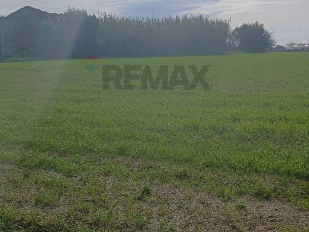 Terreno a Noto in contrada burgio - Foto 4