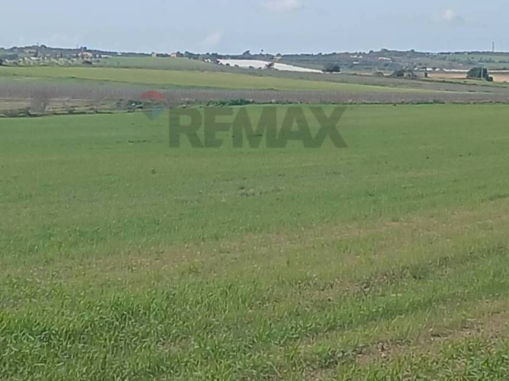 Terreno a Noto in contrada burgio - Foto 5