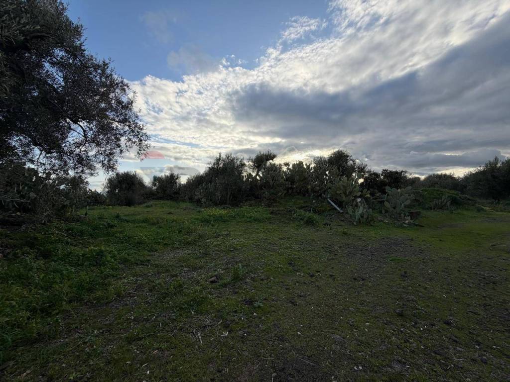 Terreno a Belpasso in ZONA ACQUAROSSA C.DA PETRAIO - Foto 2