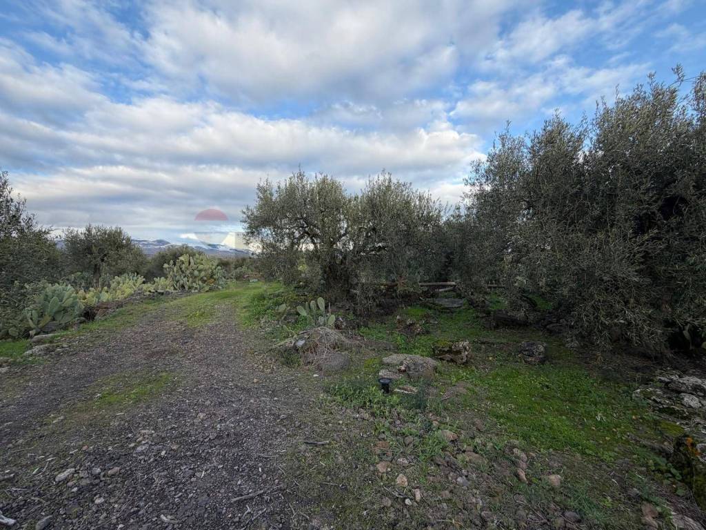 Terreno a Belpasso in ZONA ACQUAROSSA C.DA PETRAIO - Foto 3