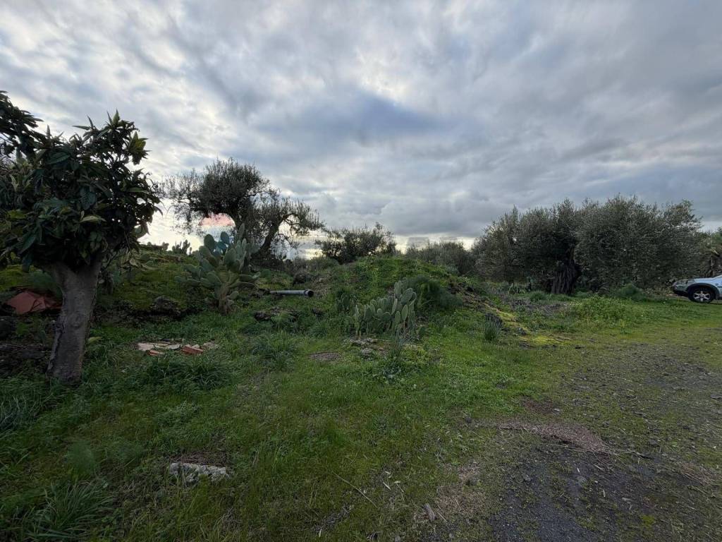 Terreno a Belpasso in ZONA ACQUAROSSA C.DA PETRAIO - Foto 4